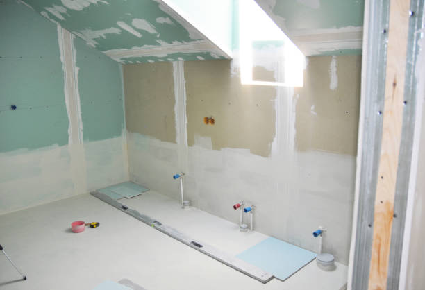 Best Mold Remediation for Rental Properties  in University Park, IL