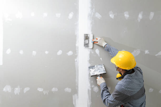 Best Mold Odor Removal Services  in University Park, IL