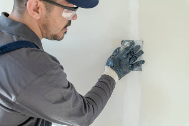 Best HVAC Mold Inspection and Cleaning  in University Park, IL