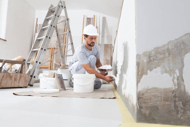 Best Dehumidification Services  in University Park, IL