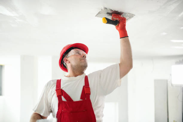 Best Commercial Mold Inspection  in University Park, IL