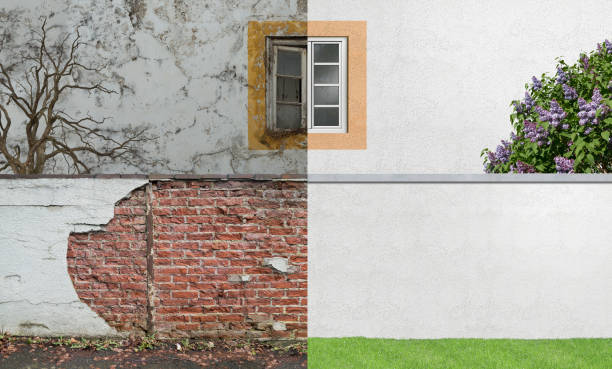  University Park, IL Mold Removal Pros