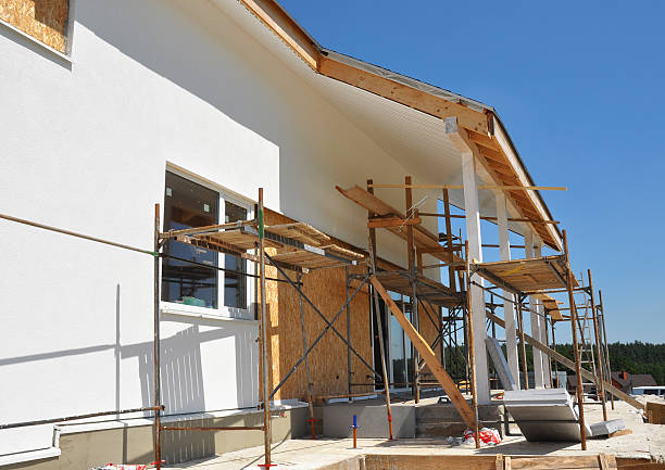 Reliable University Park, IL Mold Removal Solutions
