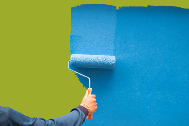 Best Basement Mold Removal  in University Park, IL